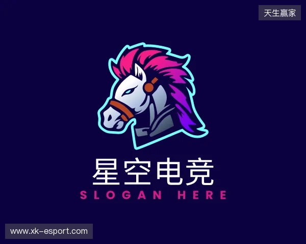 介绍星空电竞